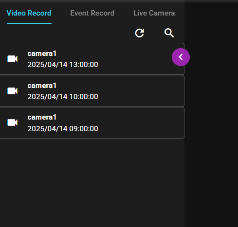 Video Record Search 4